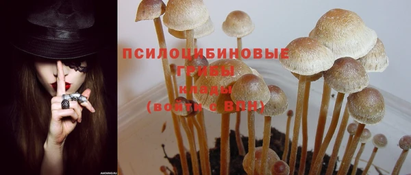 твердый Домодедово