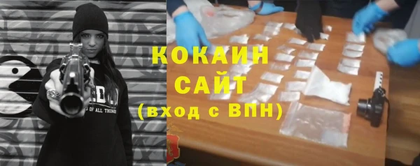гидра Володарск