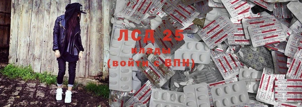 гидра Володарск