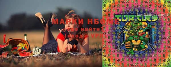 мдпв Верея