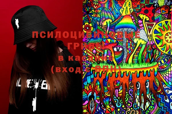 гидра Володарск